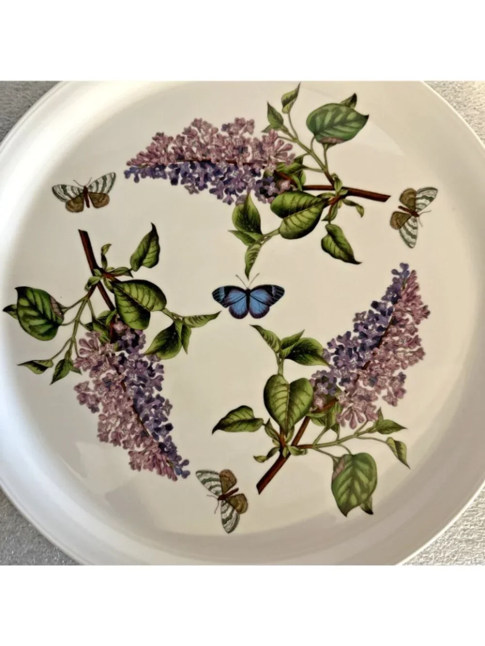 Portmeirion Fire & Ice Botanic Garden Serving Plate Platter 12